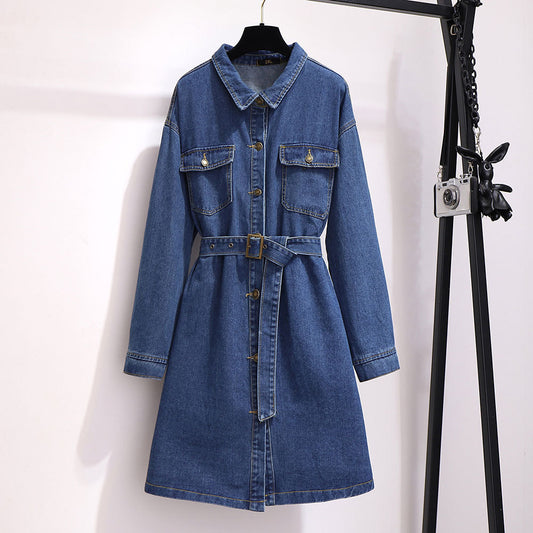 Mid-length A-line Long-sleeved Denim Dress